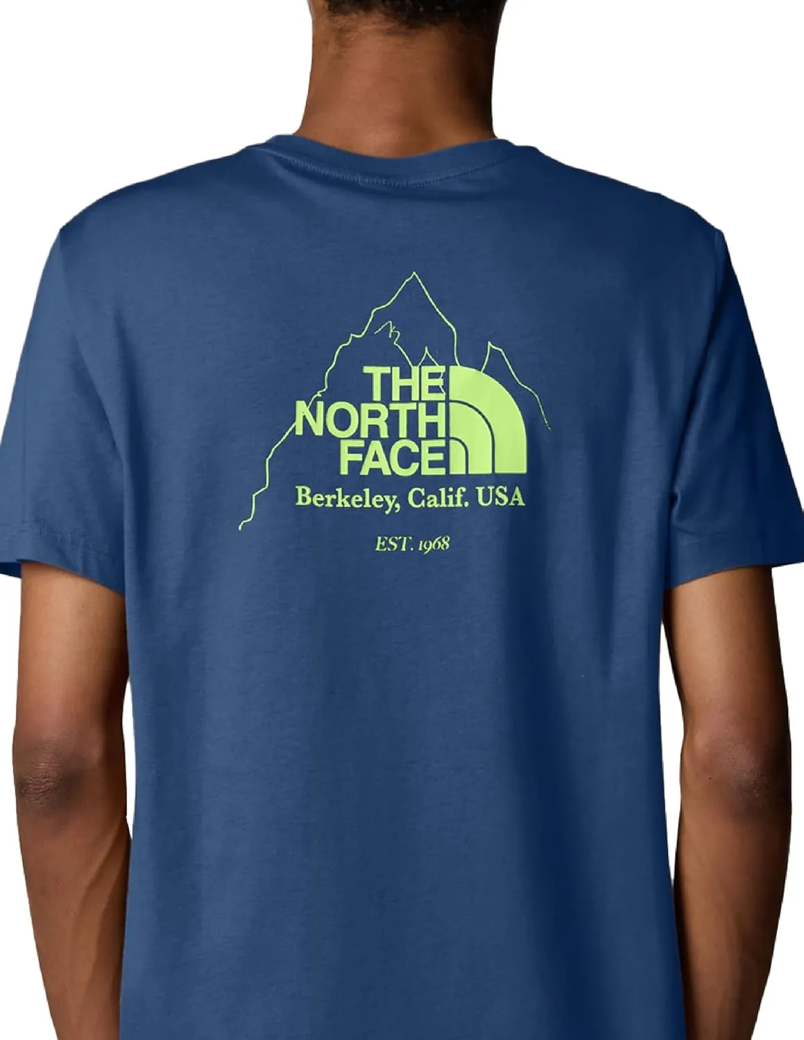 THE NORTH FACE Men's Biner 4 Graphic Tee